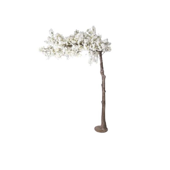 Arbre blanc cerisier